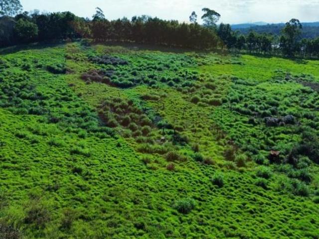 Sítio e chácara venda em Região Imediata de São Paulo, Região Metropolitana de São Paulo