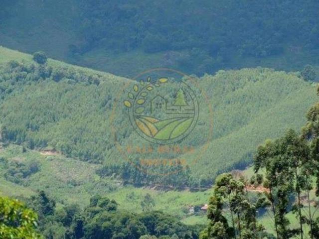 Sítio e chácara venda em Região Imediata de Guaratinguetá, Região Metropolitana do Vale do Paraíba e Litoral Norte
