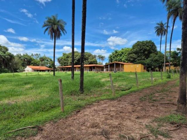 Sítio e chácara venda em Região Geográfica Imediata do Distrito Federal, Região Integrada de Desenvolvimento do Distrito Federal e Entorno