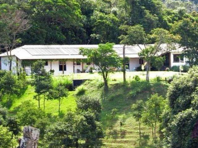 Sítio e chácara venda em São João Novo, São Roque