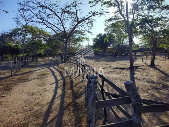 Fazenda venda em Região Geográfica Imediata de Caruaru, Gravata