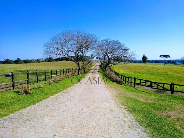Fazenda venda em Região Geográfica Imediata de Curitiba, Região Metropolitana de Curitiba