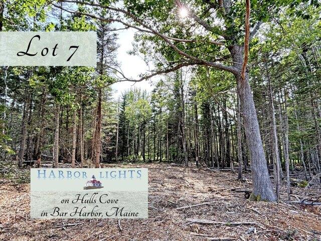 Land for sale in Bar Harbor, Maine