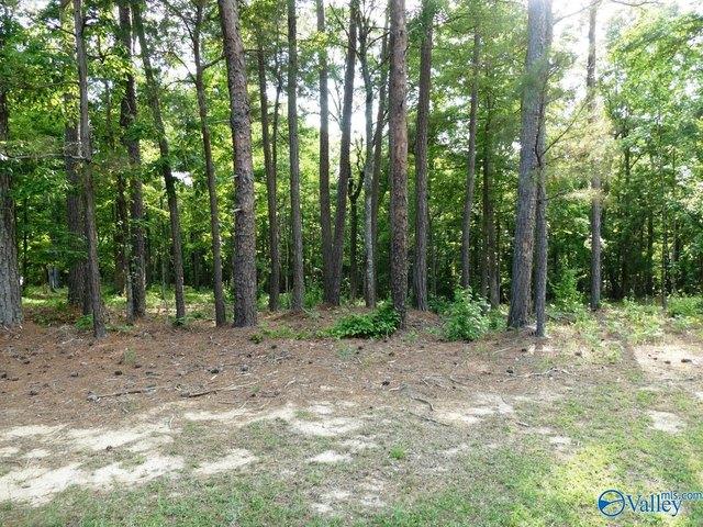 Land for sale in Jasper, Alabama