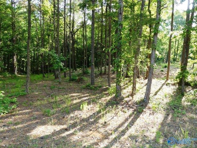 Land for sale in Jasper, Alabama