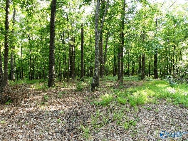 Land for sale in Jasper, Alabama