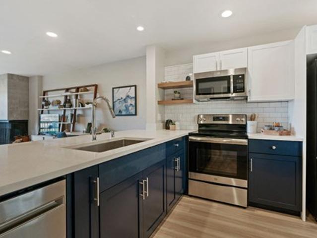 Apartment for rent in Mill Valley