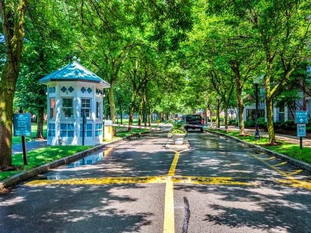 Apartment for rent in Dorchester, Allston