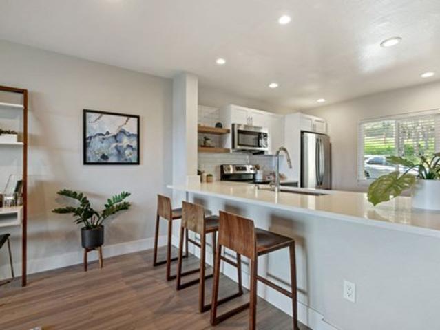 Apartment for rent in Mill Valley