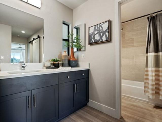 Apartment for rent in Mill Valley