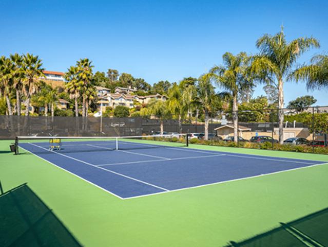 Apartment for rent in Mill Valley