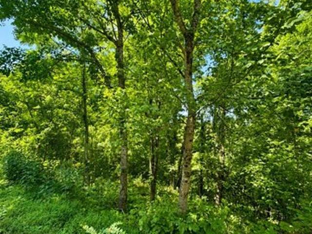 Land for sale in Tennessee