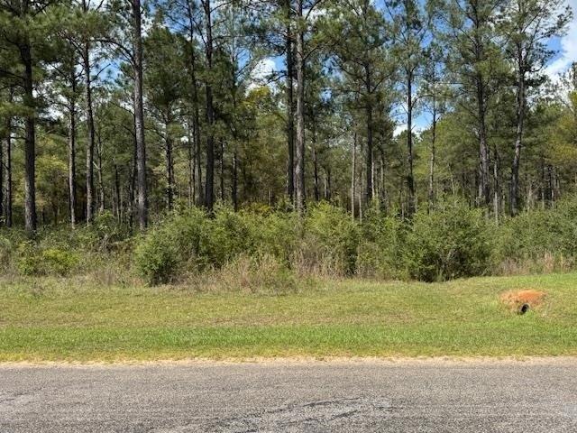 Land for sale in Andalusia, Alabama