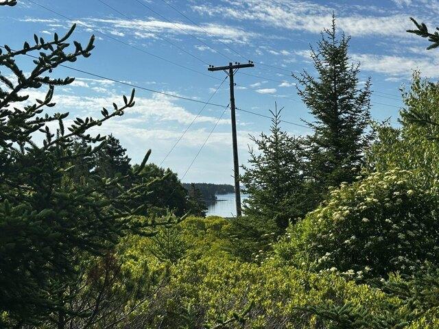 Land for sale in Swans Island, Maine