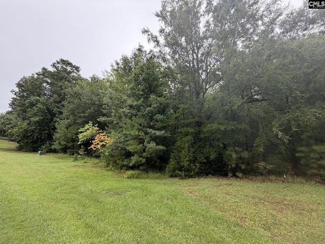 Land for sale in Prosperity, South Carolina
