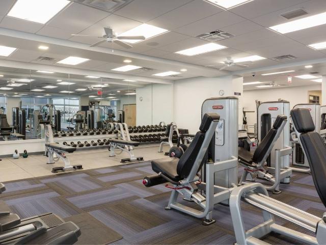 Apartment for rent in Boston