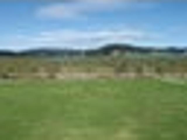 Land for sale in Matarangi, Waikato