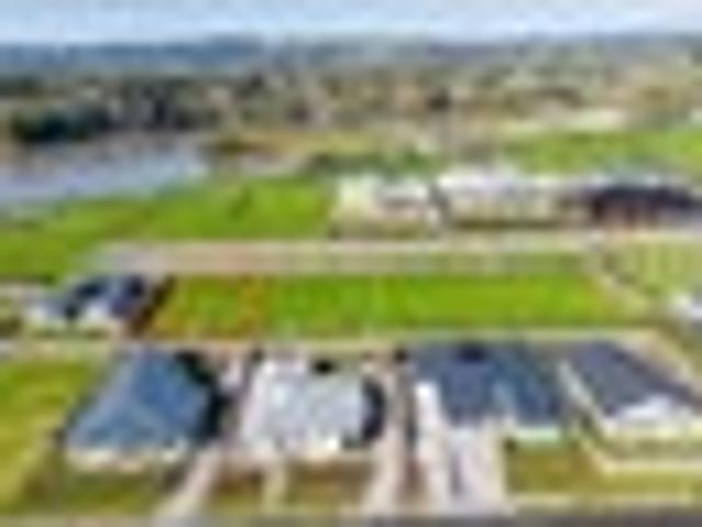 Land for sale in Whakamarama, Bay Of Plenty