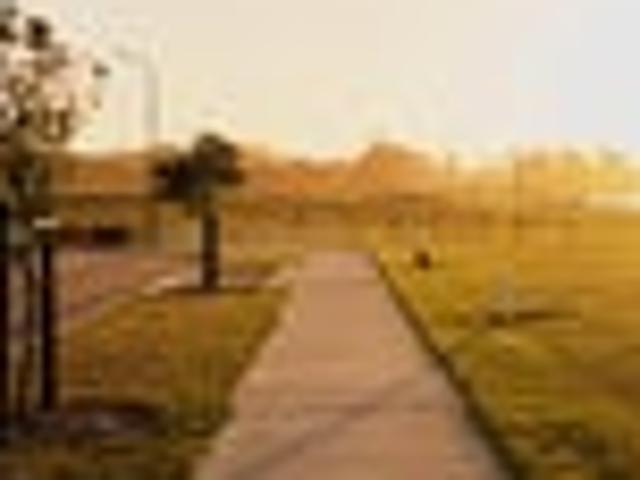 Land for sale in Papakura