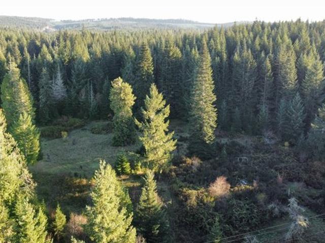 Land for sale in Camas Valley, Douglas County