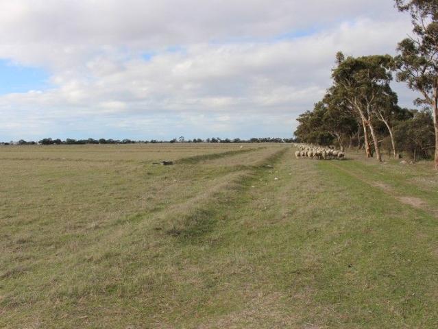 Acreage for sale in Keith, South Australia