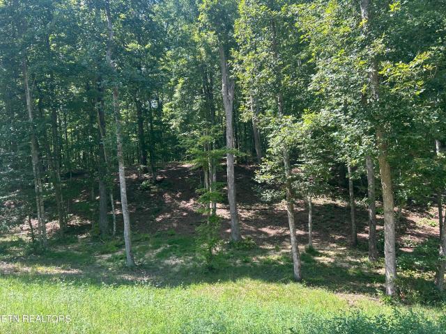 Land for sale in Oneida, East Tennessee