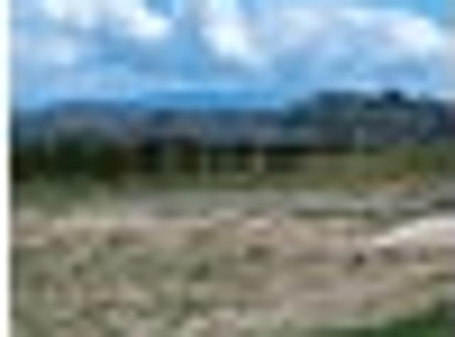 Land for sale in Taupo, Waikato