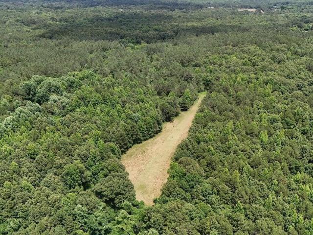 Land for sale in Mississippi