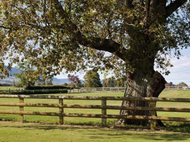 Property for sale in Waikato