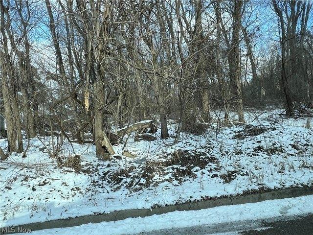 Land for sale in North Side, Struthers