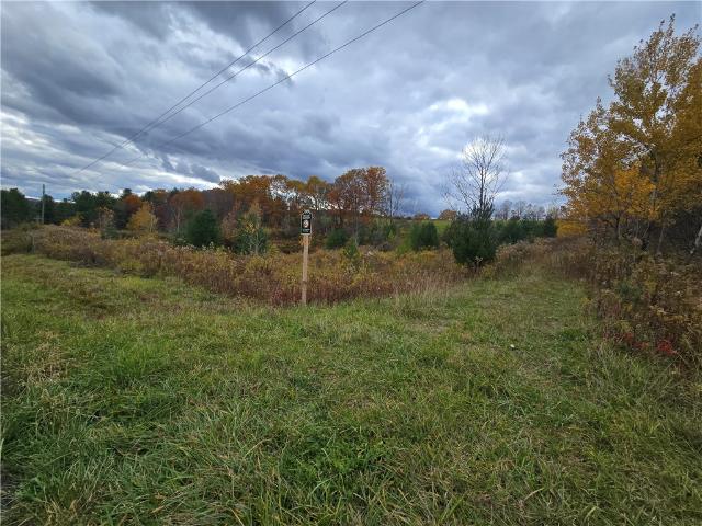 Land for sale in Mount Upton, New York