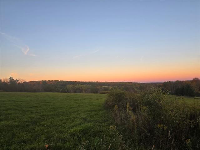 Land for sale in Mount Upton, New York