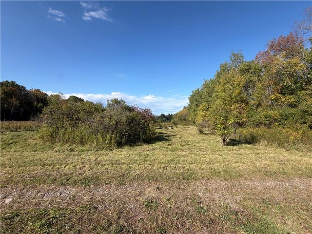 Land for sale in Village of Unadilla, Town of Unadilla