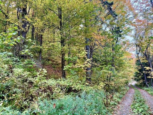 Land for sale in Sheffield, Caledonia County