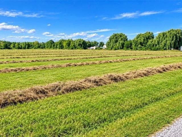 Land for sale in Chaumont, New York