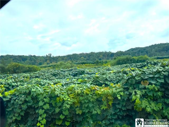 Land for sale in Town of Westfield, Chautauqua County