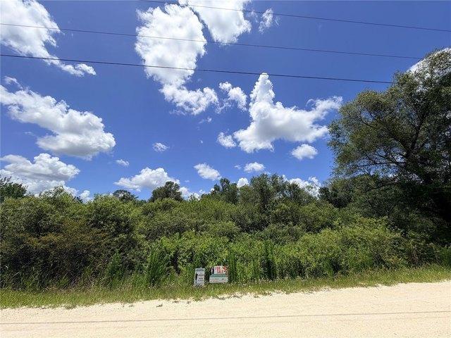 Land for sale in Webster, Florida