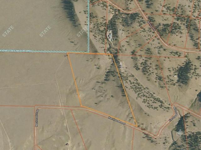 Land for sale in Hartsel, Park County