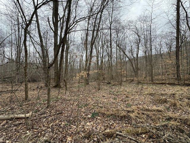 Farm for sale in Kentucky