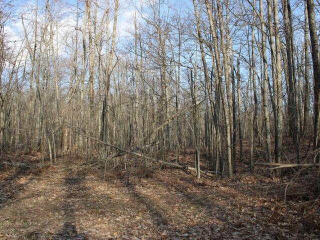 Land for sale in Comins, Michigan