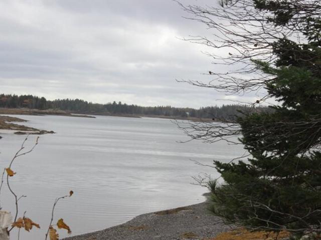 Land for sale in Pembroke, Maine