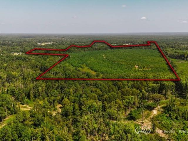 Land for sale in Georgetown, Mississippi