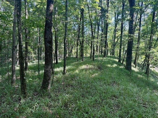 Land for sale in Grenada, Mississippi