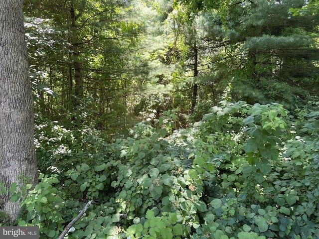 Land for sale in Aberdeen, Maryland