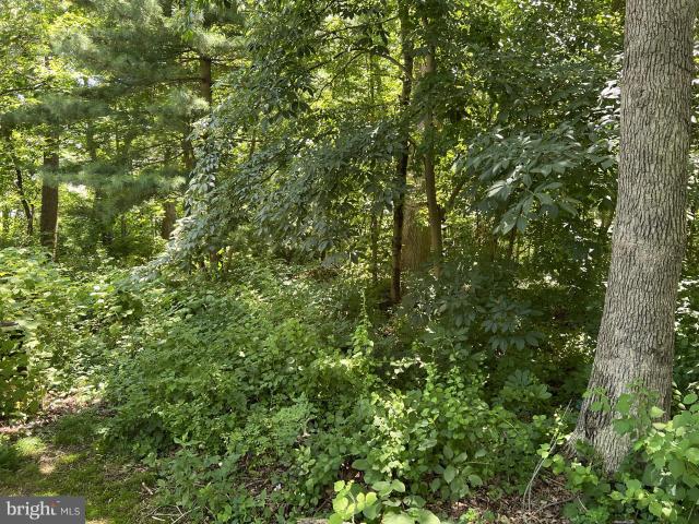 Land for sale in Aberdeen, Maryland
