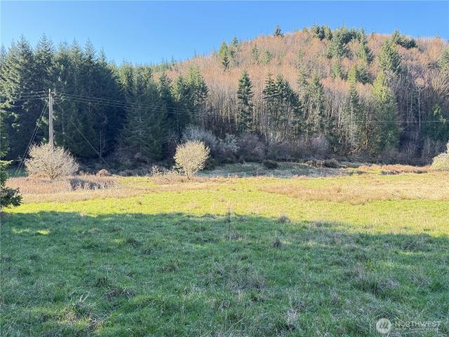 Land for sale in Pe Ell, Washington