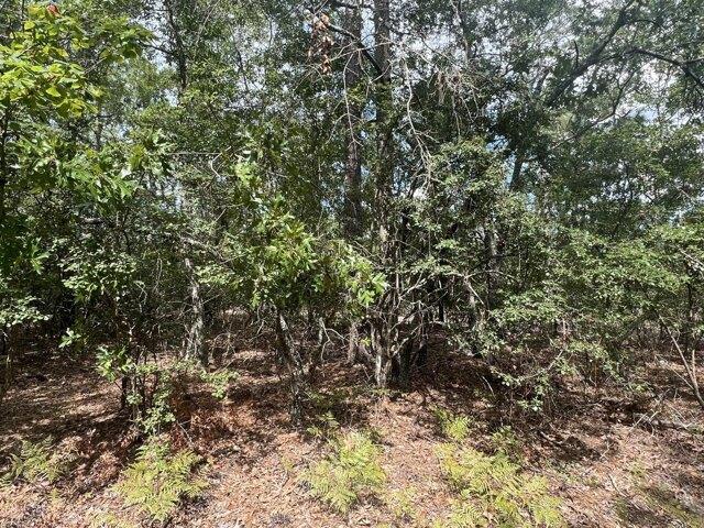 Land for sale in Beech Island Land for sale in Beech Island