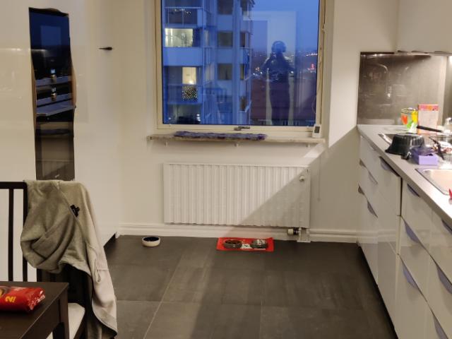 Lägenhet hyra i Malmö, Skåne