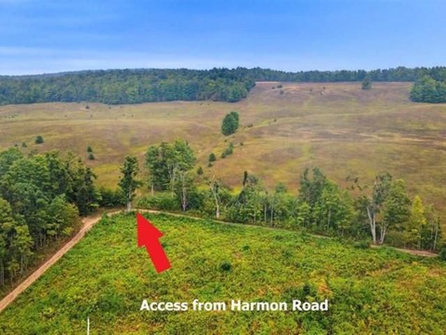 Land for sale in Petoskey, Emmet County