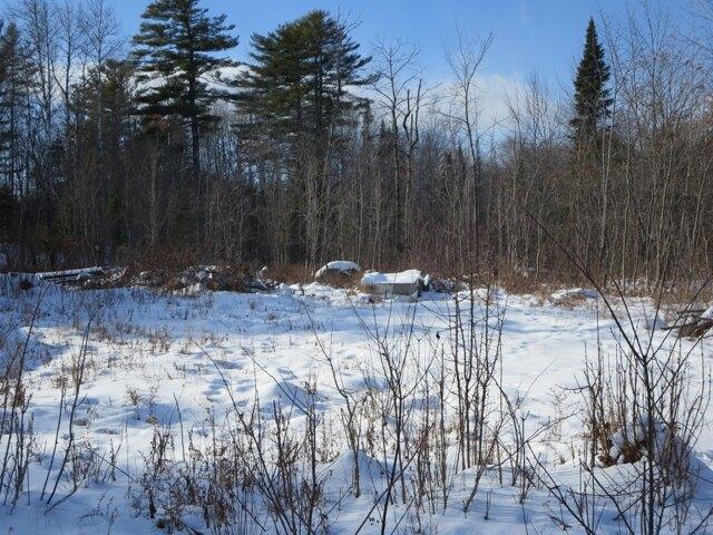 Land for sale in Milo, Piscataquis County
